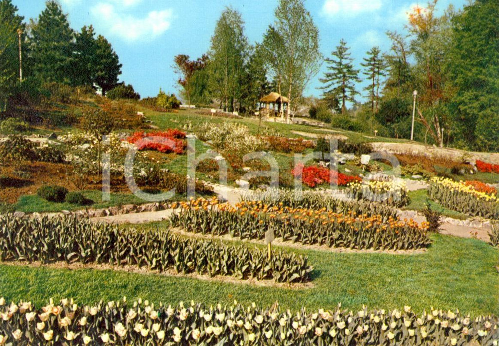 Cartolina originale da collezione 1961 TORINO Parco VALENTINO Esposizione FIORI DEL MONDO *Cartolina VINTAGE FG NV 1