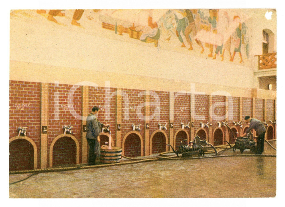 Cartolina originale da collezione 1955 ca SANTA VITTORIA D ALBA CN Stabilimento CINZANO Sala vinificazione FG VG 1