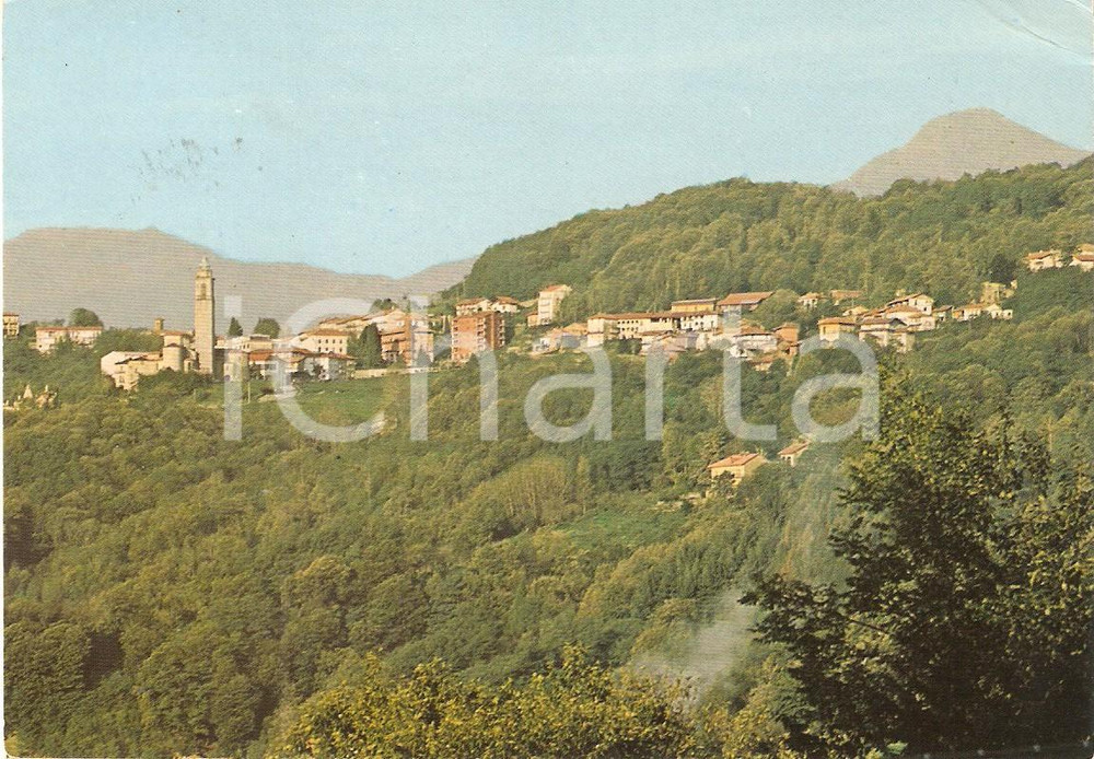 Cartolina originale da collezione 1992 PETTINENGO BI Panorama del paese Cartolina FG VG 1