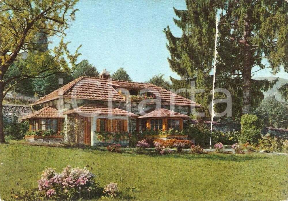 Cartolina originale da collezione 1958 STRESA VB Villa Pallavicino  Giardini e parco zoologico Cartolina FG VG 1