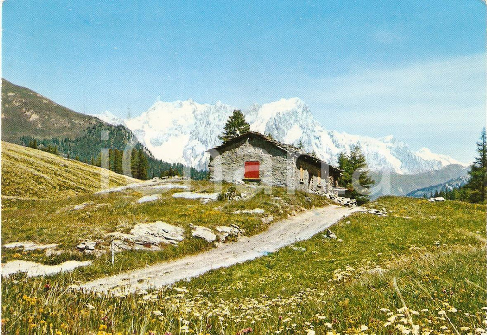 Cartolina originale da collezione 1971 COLLE SAN CARLO AO Baite e Catena del monte Bianco Cartolina FG VG 1