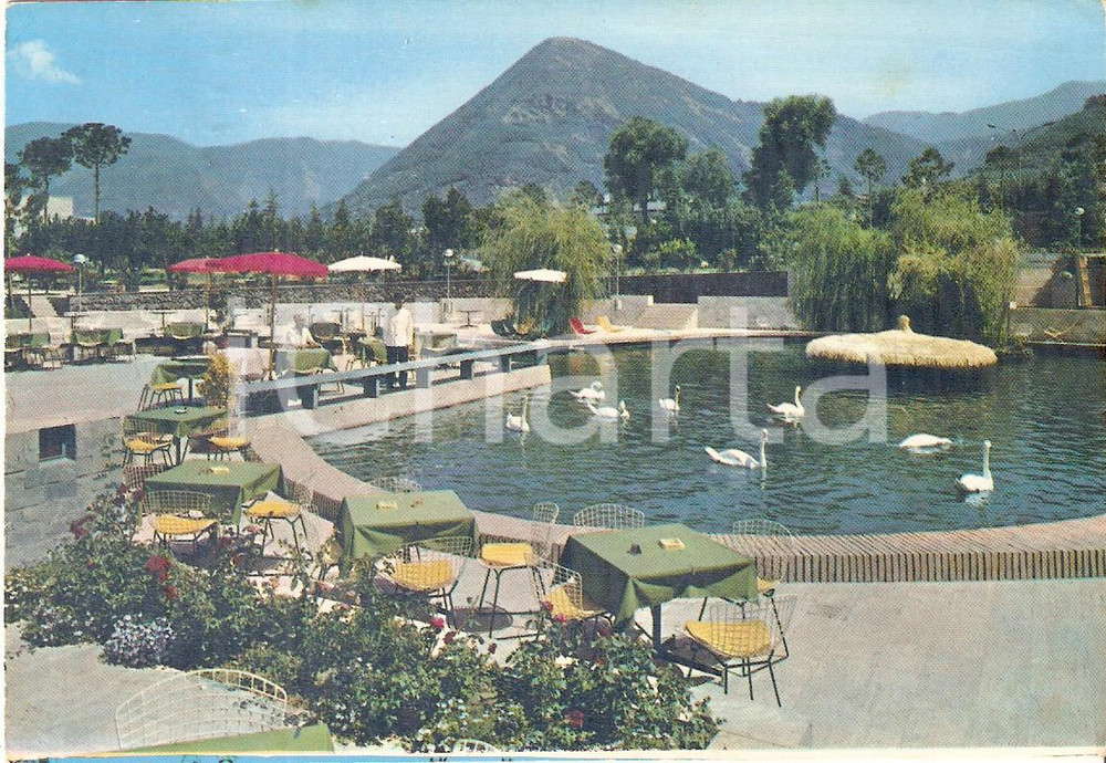 Cartolina originale da collezione 1971 CASTELLAMMARE DI STABIA NA Nuove Terme  Cigni nella piscina Cartolina FG 1