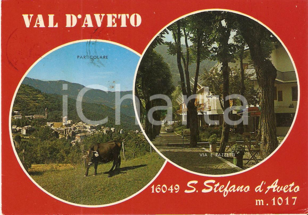 Cartolina originale da collezione 1975 SANTO STEFANO D AVETO GE Vedutine con mucca e Via Razzetti Cartolina FG 1