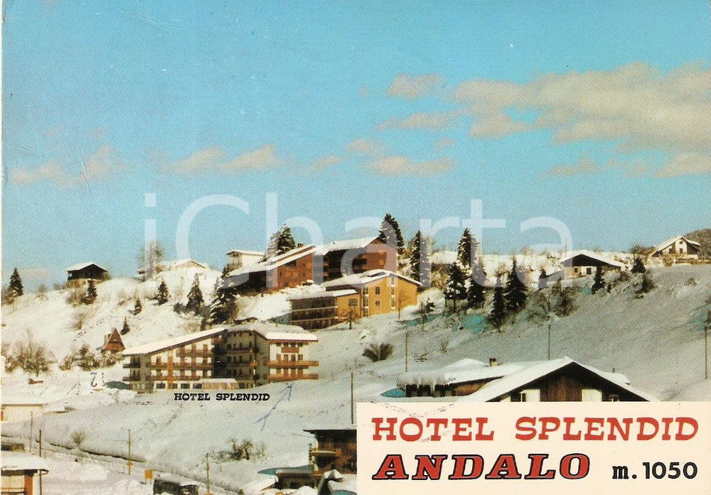 Cartolina originale da collezione 1970 ca ANDALO TN Hotel Splendid  DOLOMITI Cartolina FG VG 1