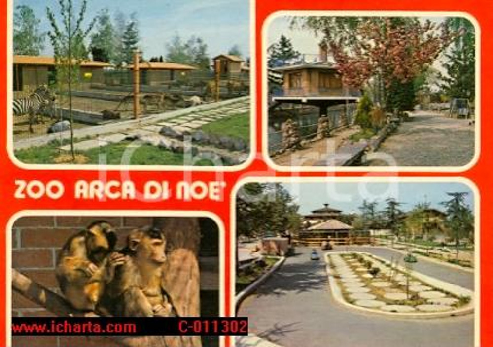 Cartolina originale da collezione 1980 ca MONTALENGHE TO Zoo ARCA DI NOE  Pista GO KART Vintage Cartolina FG NV 1