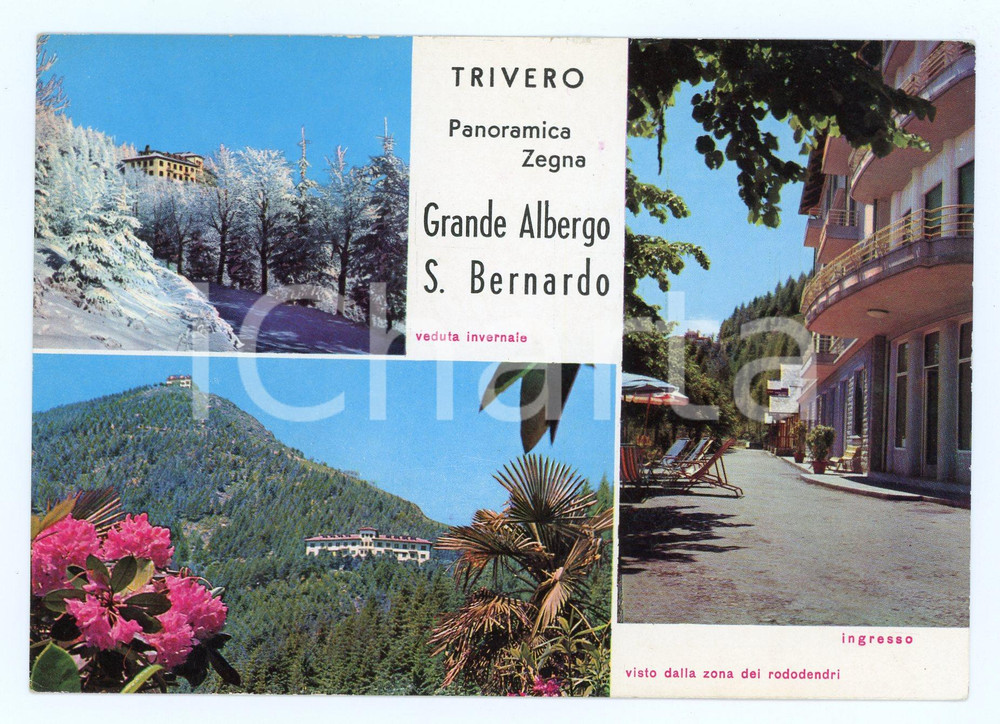 Cartolina originale da collezione 1966 TRIVERO BI Grande Albergo SAN BERNARDO Panoramica ZEGNA Vedutine FG VG 1