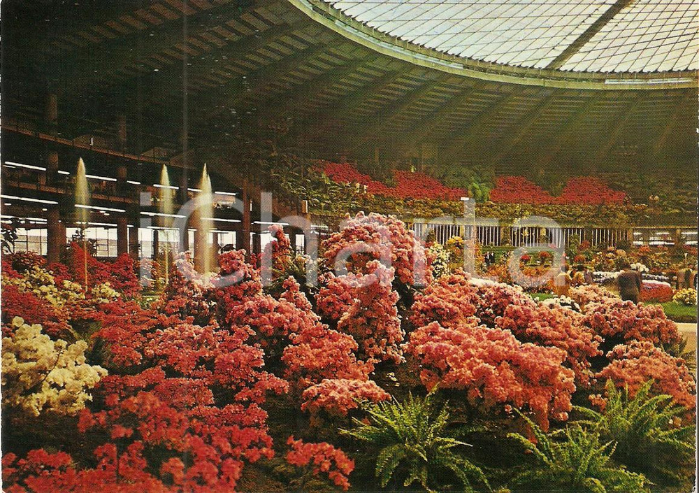 Materiale pubblicitario d’epoca 1971 GENOVA Fiera 2 EUROFLORA  Padiglione allestito Cartolina VINTAGE FG NV 1