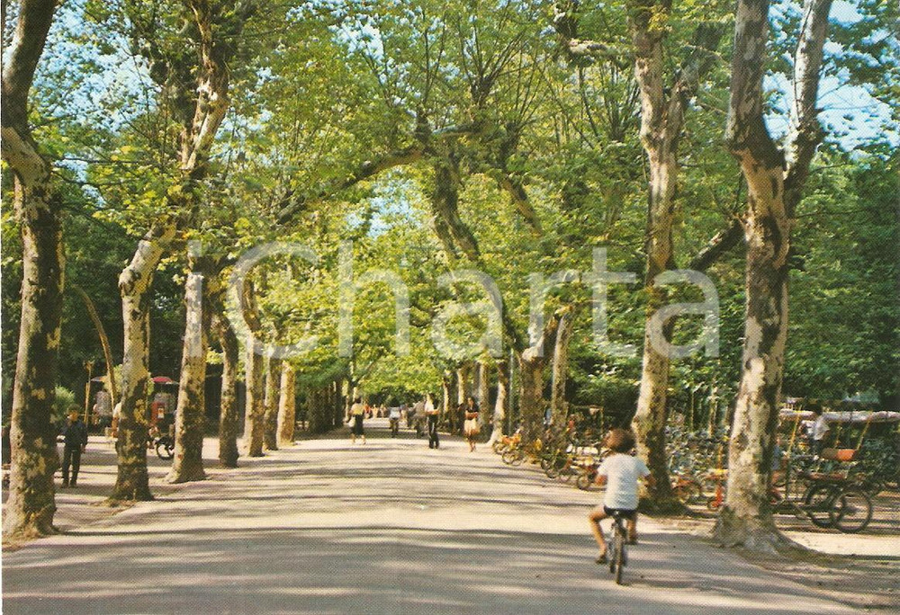 Cartolina originale da collezione 1975 ca VIAREGGIO Bambino in bicicletta in Viale Pier Capponi Cartolina FG NV 1