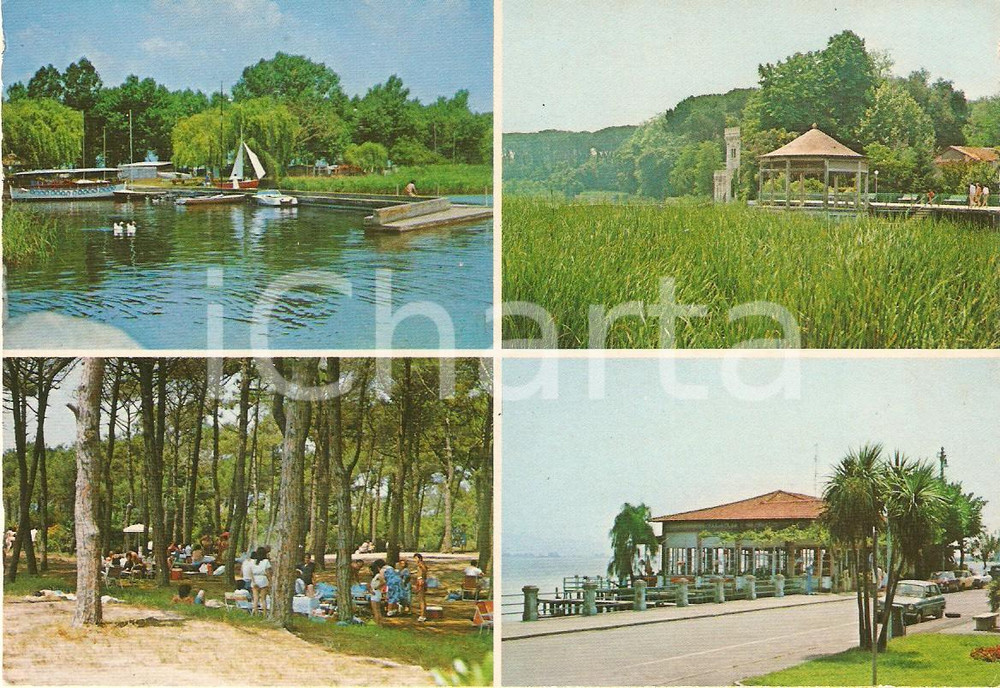 Cartolina originale da collezione 1965 ca TORRE DEL LAGO PUCCINI LU Vedutine Cartolina VINTAGE FG NV 1