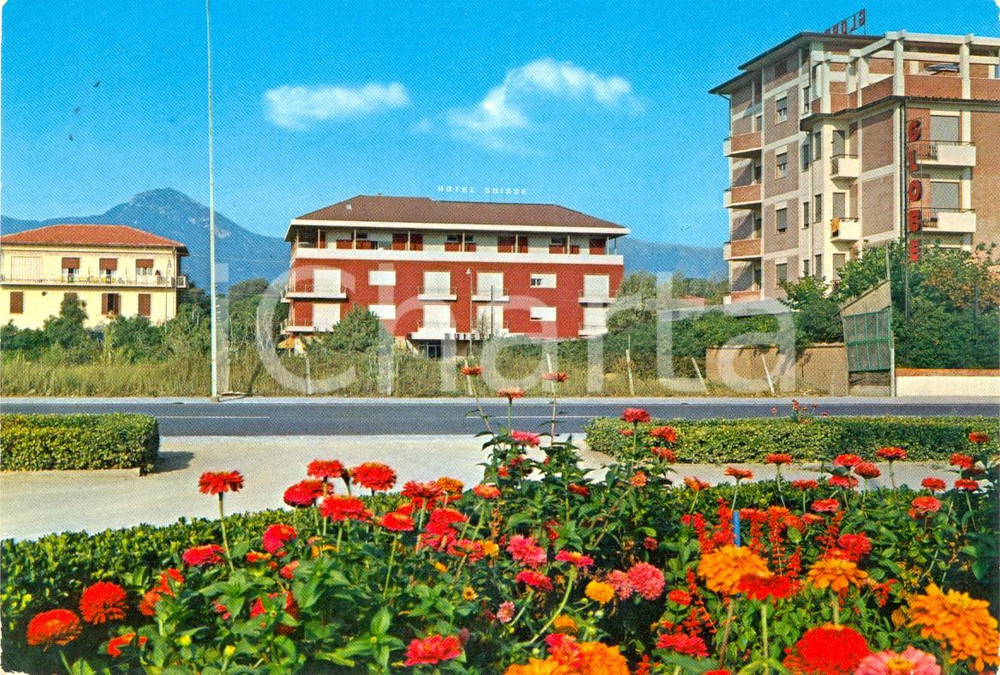 Cartolina originale da collezione 1978 PIETRASANTA LU Hotel SUISSE e GLOBE a MOTRONE Cartolina VINTAGE FG VG 1