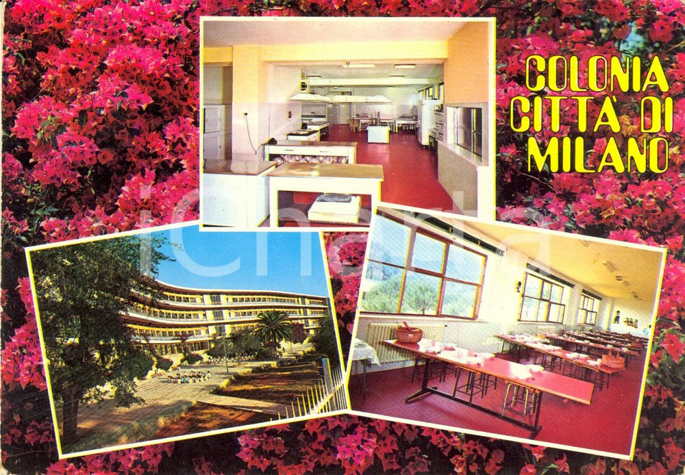 Cartolina originale da collezione 1980 PIETRA LIGURE SV Colonia CITTA  DI MILANO Vedutine Cartolina VINTAGE FG 1
