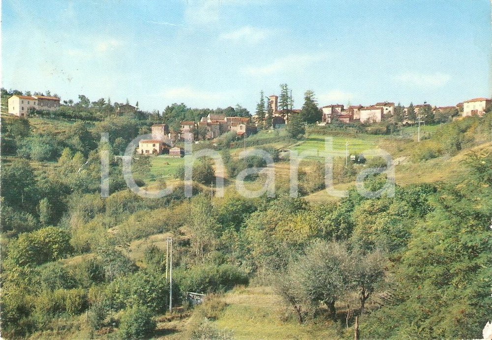 Cartolina originale da collezione 1975 PITEGLIO PT Frazione PRUNETTA Panorama Cartolina FG VG 1