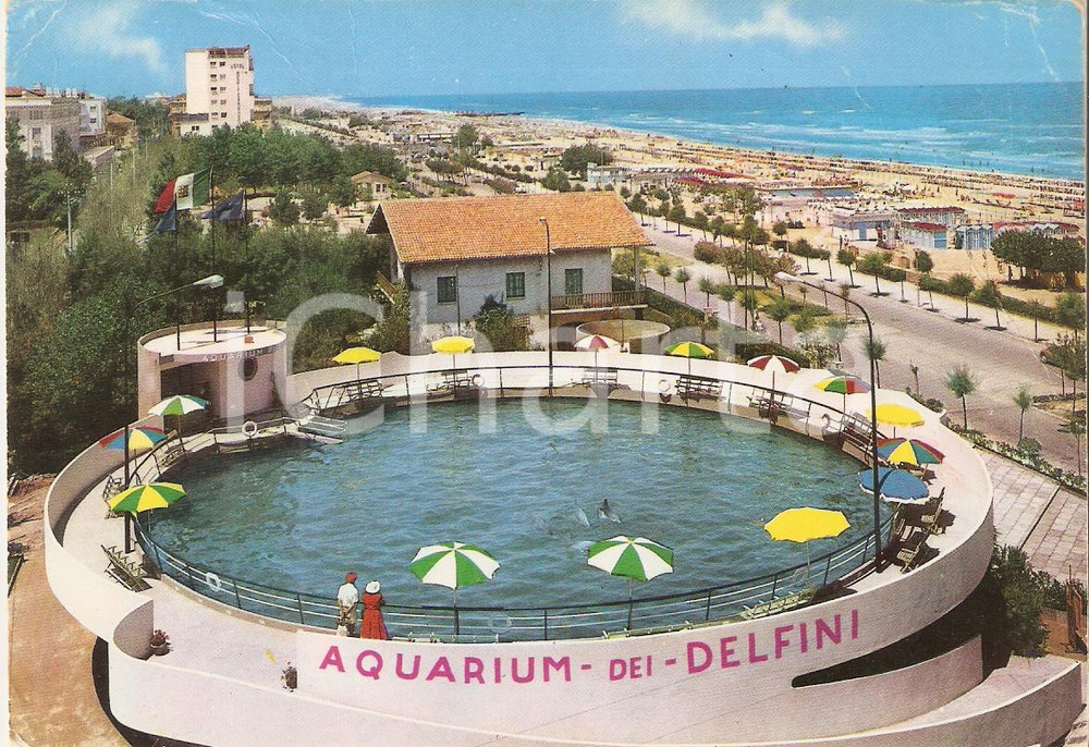 Cartolina originale da collezione 1965 RICCIONE RN Acquarium dei delfini e lungomare Cartolina FG VG 1