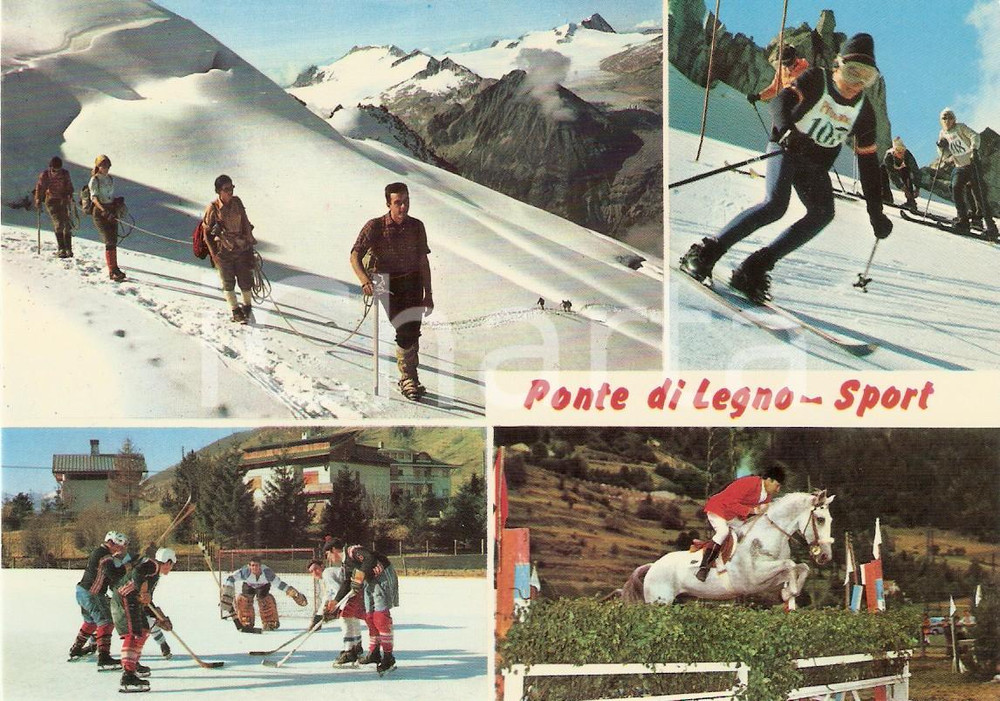 Cartolina originale da collezione 1970 PONTE DI LEGNO BS Sport in città HOCKEY Ippica SCI Cartolina FG NV 1
