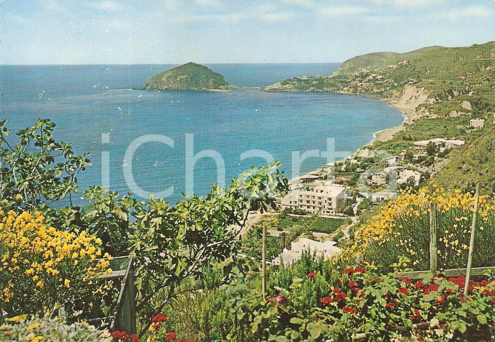Cartolina originale da collezione 1977 BARANO D ISCHIA NA Spiaggia dei Maronti e Sant Angelo Cartolina FG VG 1