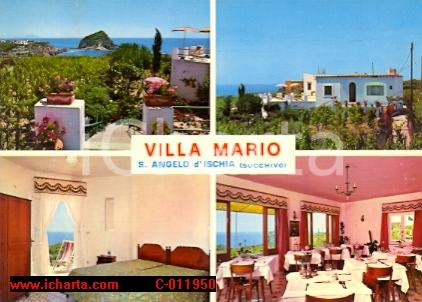 Cartolina originale da collezione 1975 ca SANT ANGELO D ISCHIA NA Vedutine Villa MARIO Cartolina VINTAGE FG NV 1