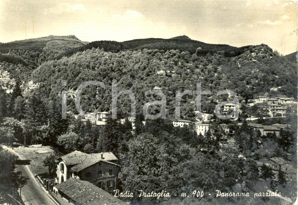 Cartolina originale da collezione 1957 BADIA PRATAGLIA AR Panorama parziale Cartolina postale FG VG 1