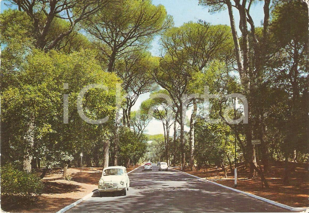 Cartolina originale da collezione 1965 LIDO DI ROMA Auto parcheggiate alla pineta di CASTEL FUSANO Cartolina FG NV 1