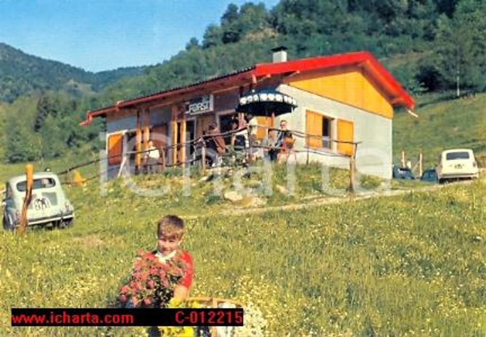 Cartolina originale da collezione 1980 ca VARALLO VC Baita del Pittore a CAMASCO Cartolina VINTAGE FG NV 1