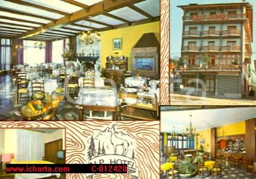 Cartolina originale da collezione 1975 ca PRALUNGO BI L Alp Hotel a SANT EUROSIA Cartolina VINTAGE FG VG 1