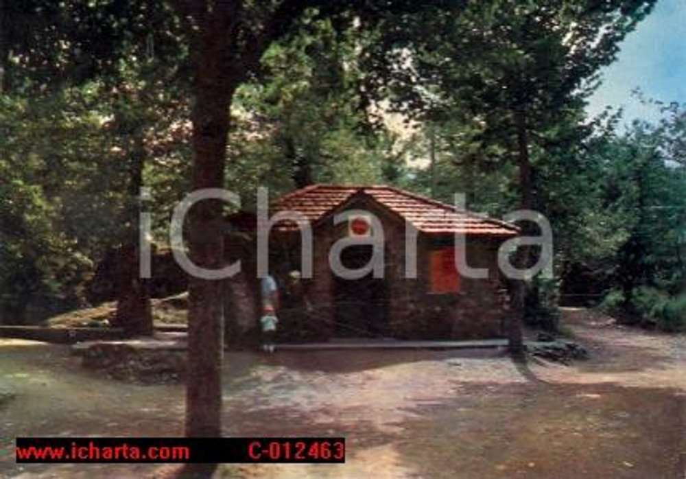 Cartolina originale da collezione 1979 FONTANIGORDA GE Il bosco delle fate Cartolina VINTAGE FG VG 1