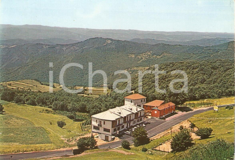 Cartolina originale da collezione 1969 SAVONA Antica Trattoria NASO DI GATTO Cartolina FG VG 1