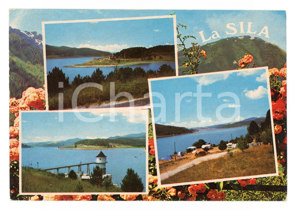 Cartolina originale da collezione 1978 COSENZA SILA Vedutine con LORICA e Lago ARVO Cartolina postale FG VG 1