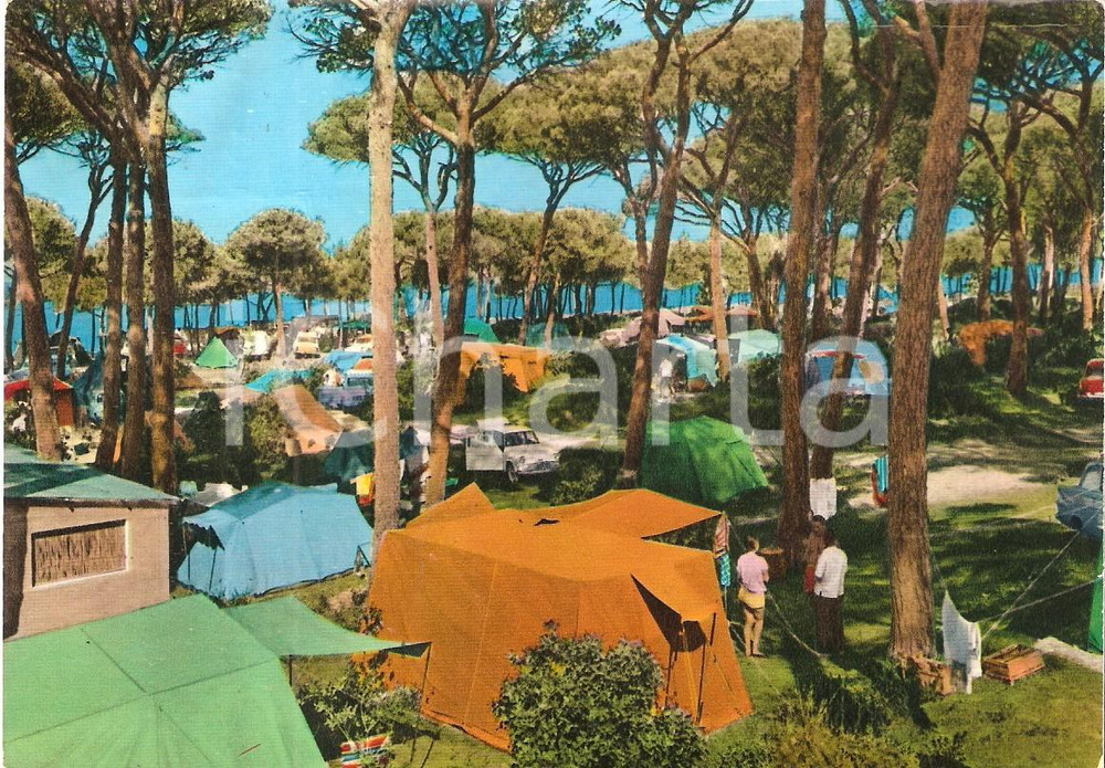 Cartolina originale da collezione 1965 ca FOLLONICA GR Camping La Polveriera Cartolina FG NV 1