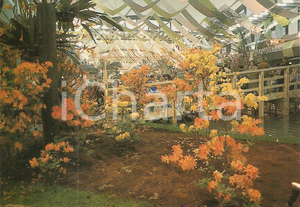 Cartolina originale da collezione 1991 GENOVA Fiera EUROFLORA Esposizione fiori e piante ornamentali Cartolina FG 1
