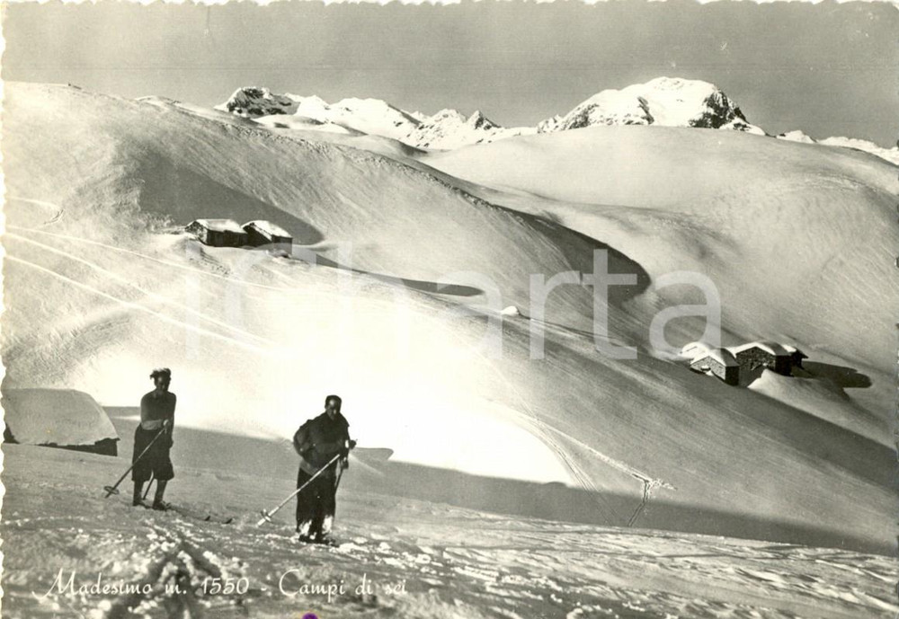 Cartolina originale da collezione 1952 MADESIMO SO Sciatori in discesa sul campo innevato FG VG 1