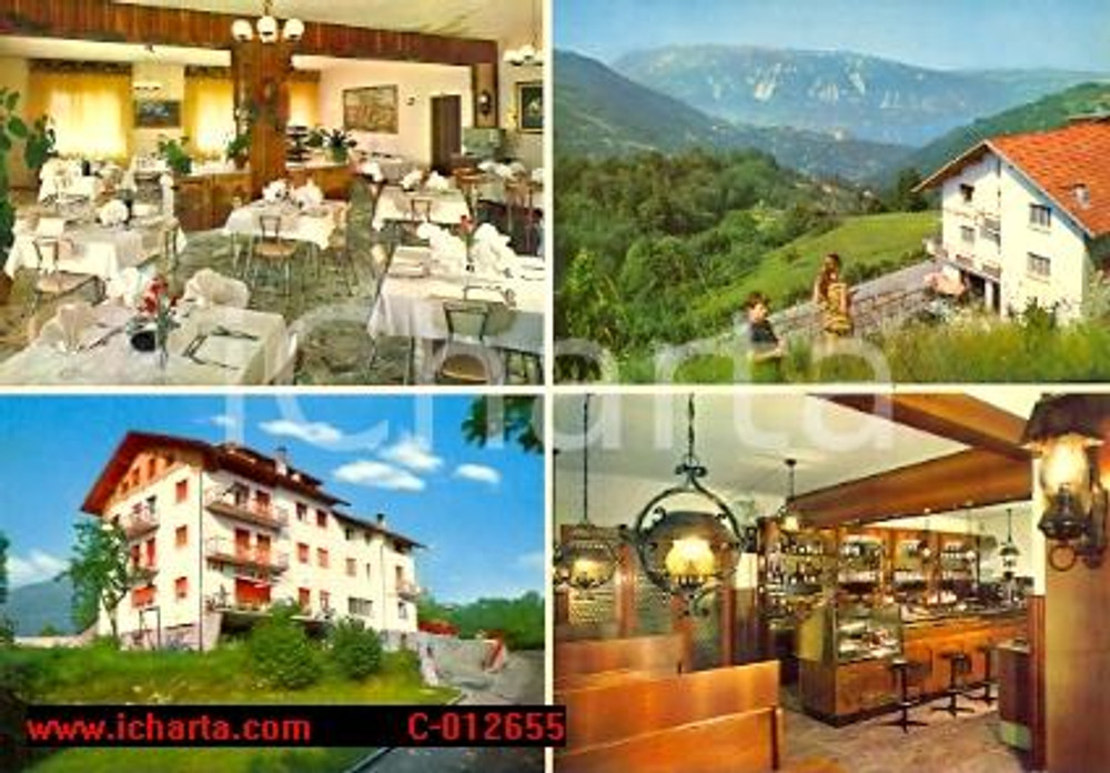 Cartolina originale da collezione 1976 TAMBRE D ALPAGO BL Vedutine Pensione MIRALAGO a VALDENOGHER Vintage 1