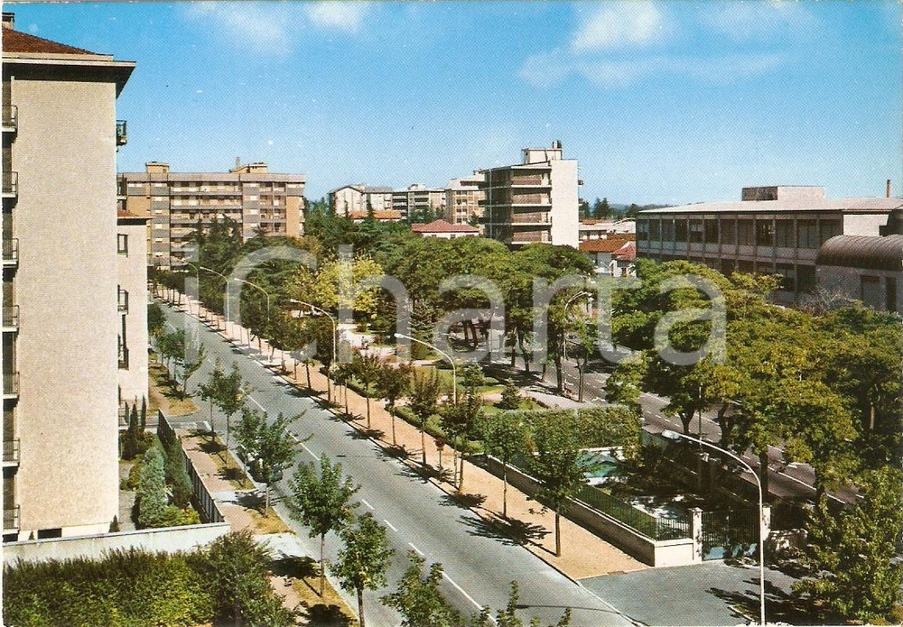 Cartolina originale da collezione 1970 ca BUSTO ARSIZIO VA Panorama di Viale Diaz Cartolina FG NV 1