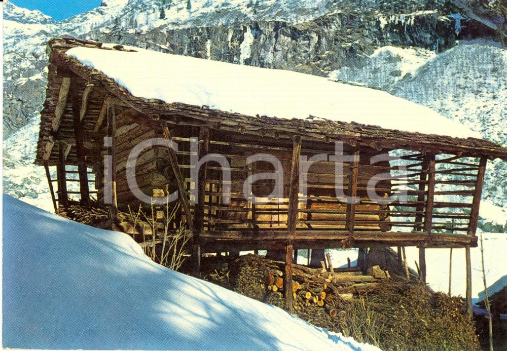 Cartolina originale da collezione 1980 ca ALAGNA VALSESIA VC Frazione AI MERLETTI Stodalbai Cartolina FG NV 1