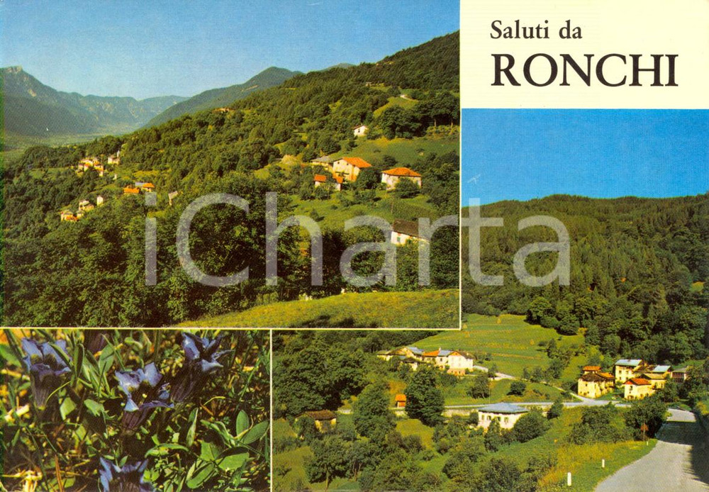 Cartolina originale da collezione 1970 ca RONCHI VALSUGANA TN Vedutine frazione CANAZEI Cartolina FG NV VINTAGE 1