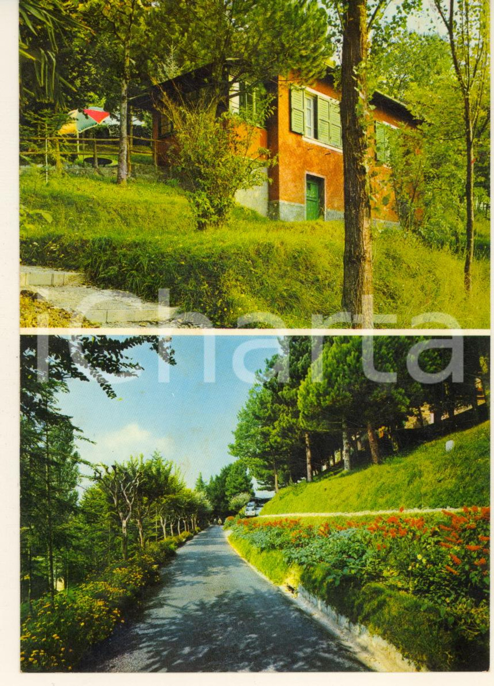 Cartolina originale da collezione 1971 USCIO GE Colonia della Salute CARLO ARNALDI Vedutine Vintage FG VG 1