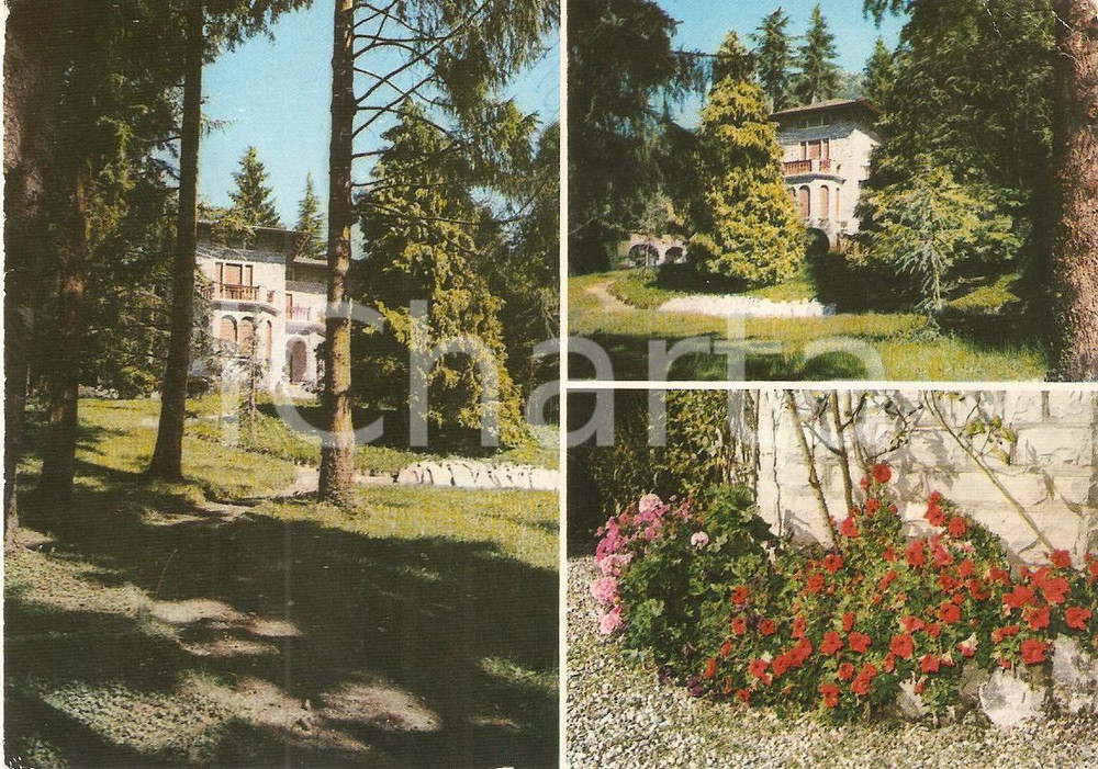Cartolina originale da collezione 1970 ESINO LARIO LC Vedutine di Villa CLOTILDE Cartolina FG VG 1