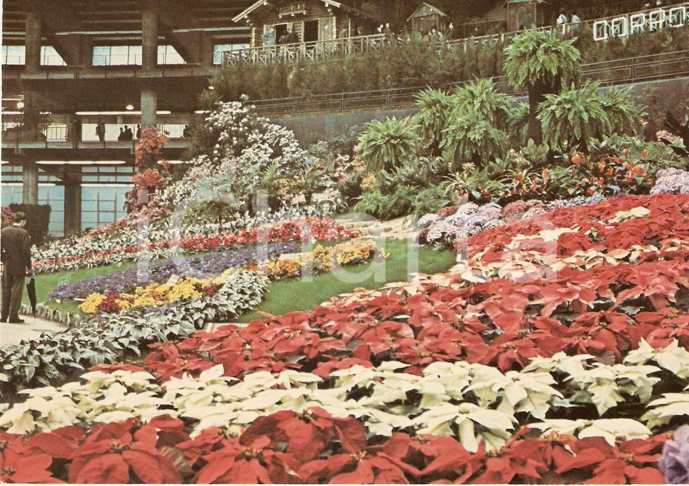 Cartolina originale da collezione 1976 GENOVA Fiera EUROFLORA Allestimento floreale con baita Cartolina FG NV 1
