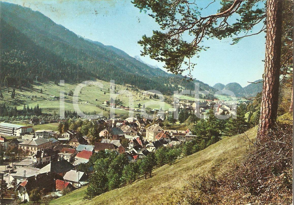 Cartolina originale da collezione 1951 TARVISIO UD Panorama del paese Cartolina FG VG 1