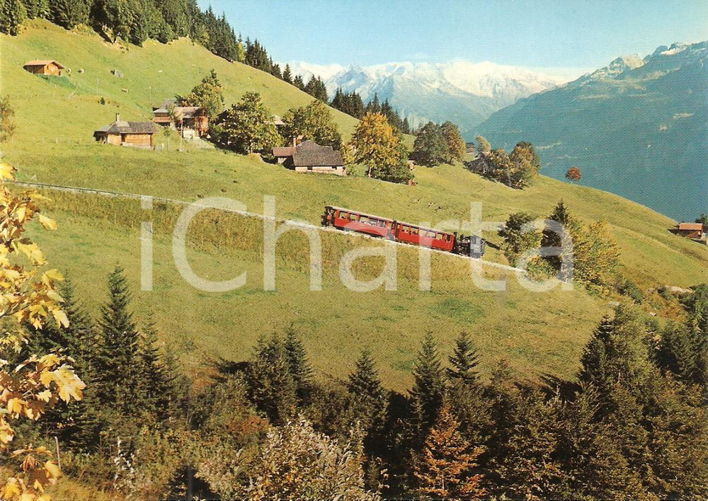 Cartolina originale da collezione 1975 ca HASLITAL (SVIZZERA) Brienz Rothorn Bahn BRB Locomotiva *Cartolina FG NV 1