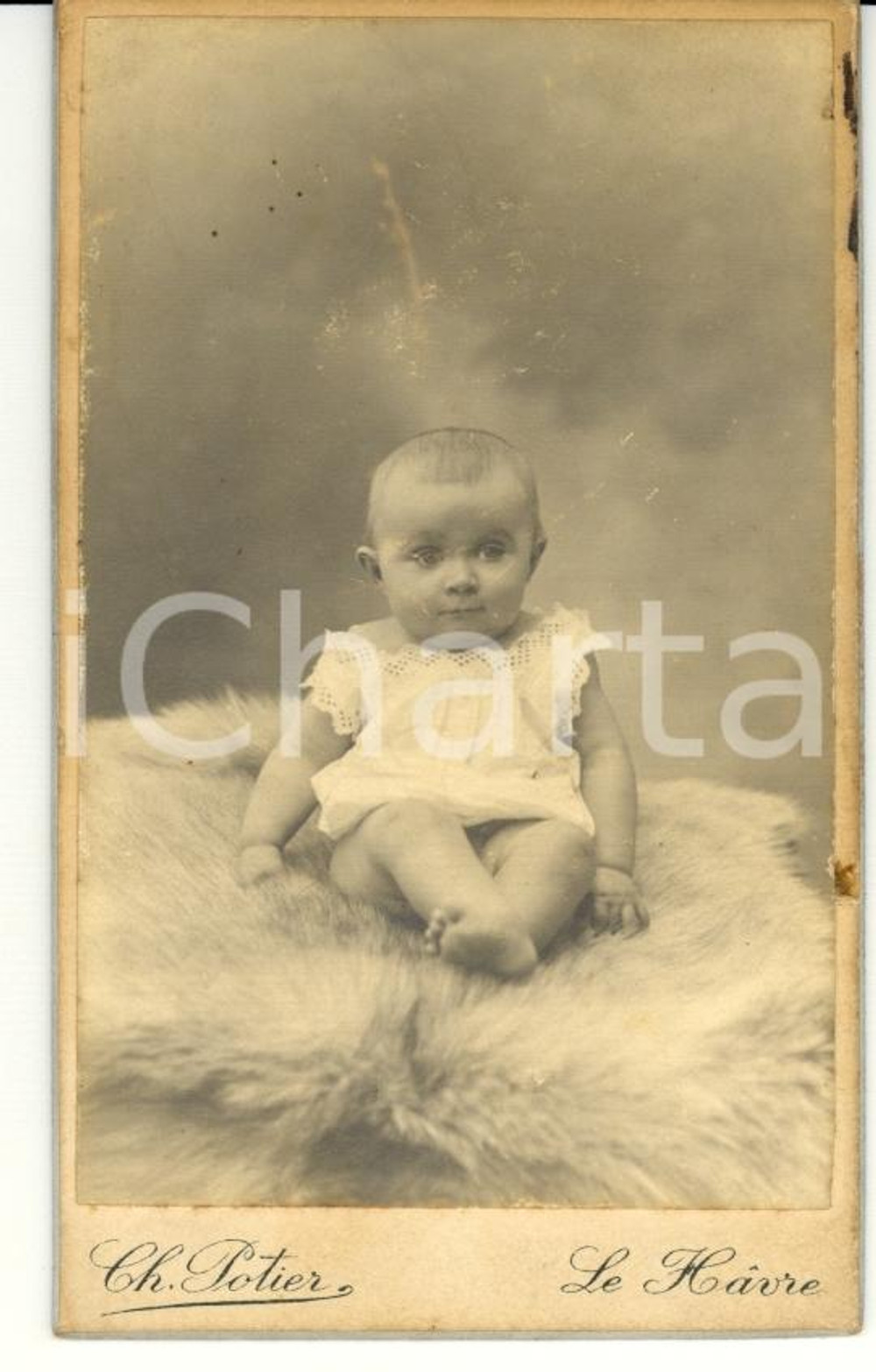 Fotografia d'epoca originale 1915 LE HAVRE (F) Bambino su pelliccia - Foto Charles POTIER 1