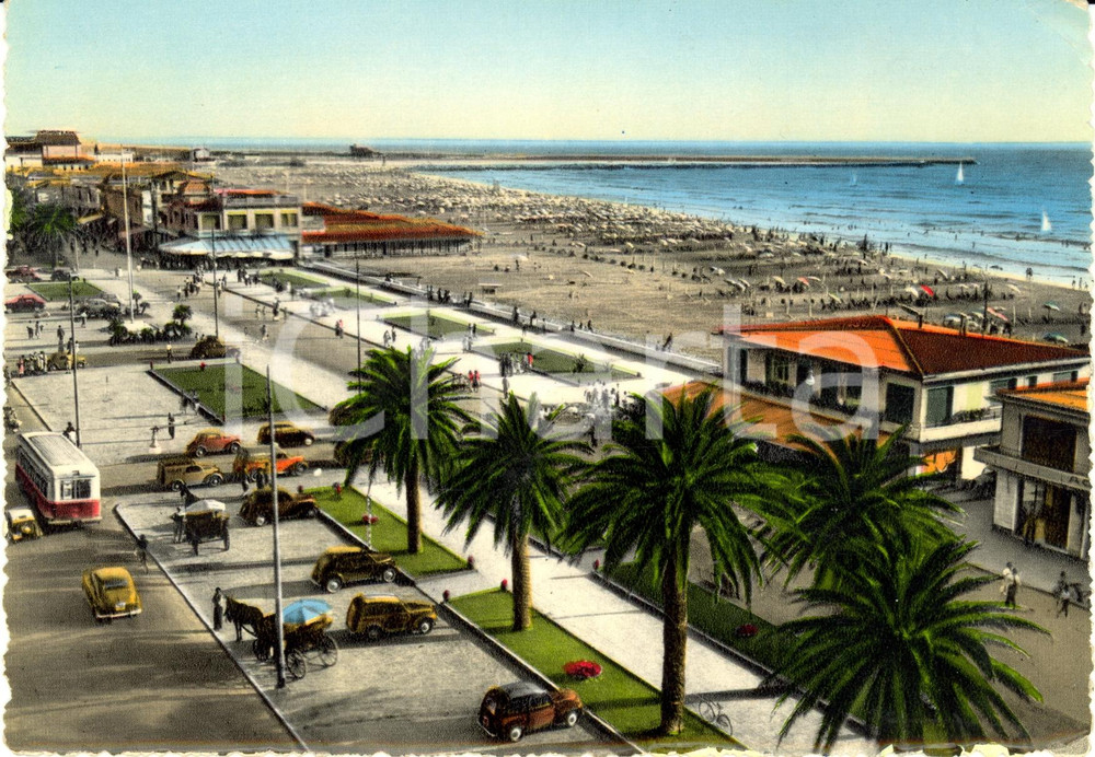 Cartolina originale da collezione 1953 VIAREGGIO (LU) Veduta lungomare e spiaggia *Cartolina VINTAGE FG VG 1