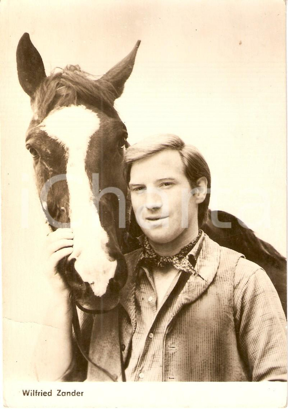 Cartolina originale da collezione 1970 ca CINEMA Attore Wilfried ZANDER Ritratto con cavallo *Cartolina FP NV 1