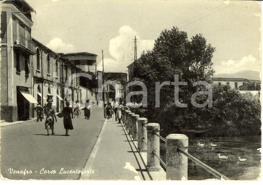 Cartolina originale da collezione 1955 VENAFRO (IS) Veduta di corso LUCENTEFORTE *Cartolina ANIMATA FG VG 1