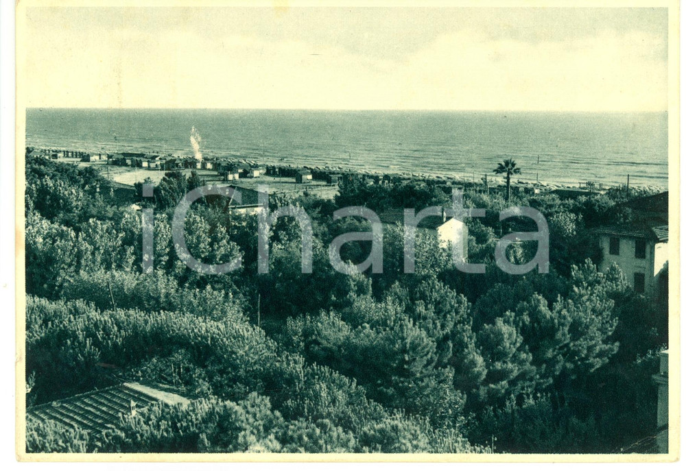 Cartolina originale da collezione 1938 MARINA DI PIETRASANTA LU Veduta pineta sul mare Cartolina FG VG 1