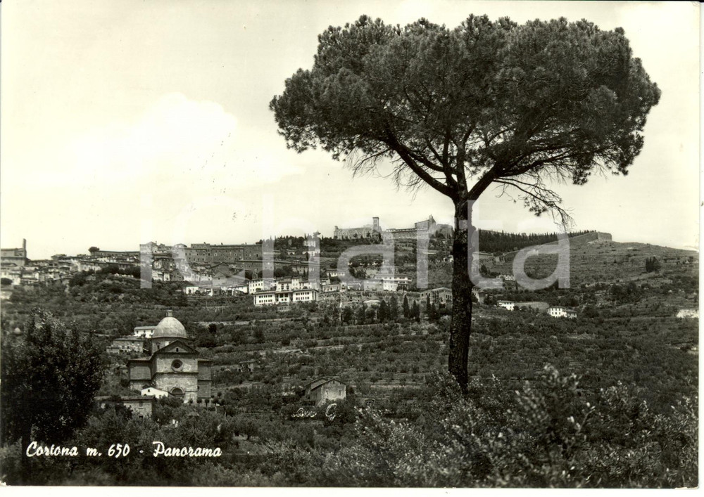 Cartolina originale da collezione 1962 CORTONA AR Veduta panoramica con SANTA MARIA DELLE GRAZIE Cartolina FG VG 1