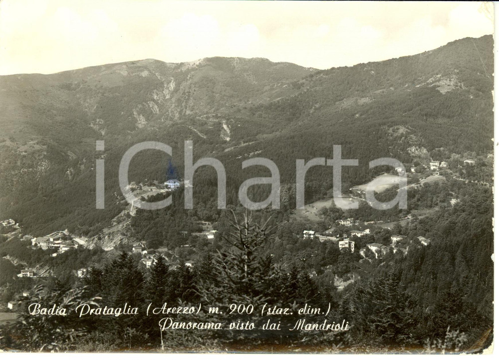 Cartolina originale da collezione 1957 BADIA PRATAGLIA (AR) Panorama visto dai Mandrioli *Cartolina FG VG 1