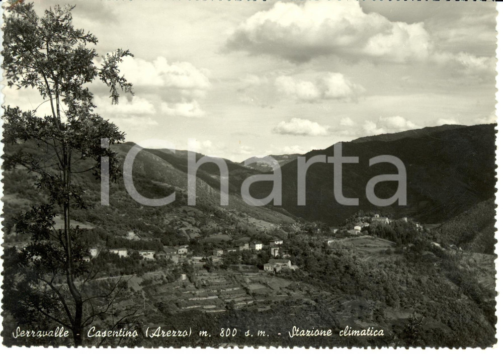 Cartolina originale da collezione 1956 SERRAVALLE DI BIBBIENA (AR) Veduta della vallata del CASENTINO *FG VG 1