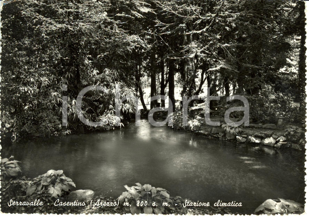 Cartolina originale da collezione 1953 SERRAVALLE DI BIBBIENA AR Stagno parco VILLA COSELSCHI Cartolina FG VG 1