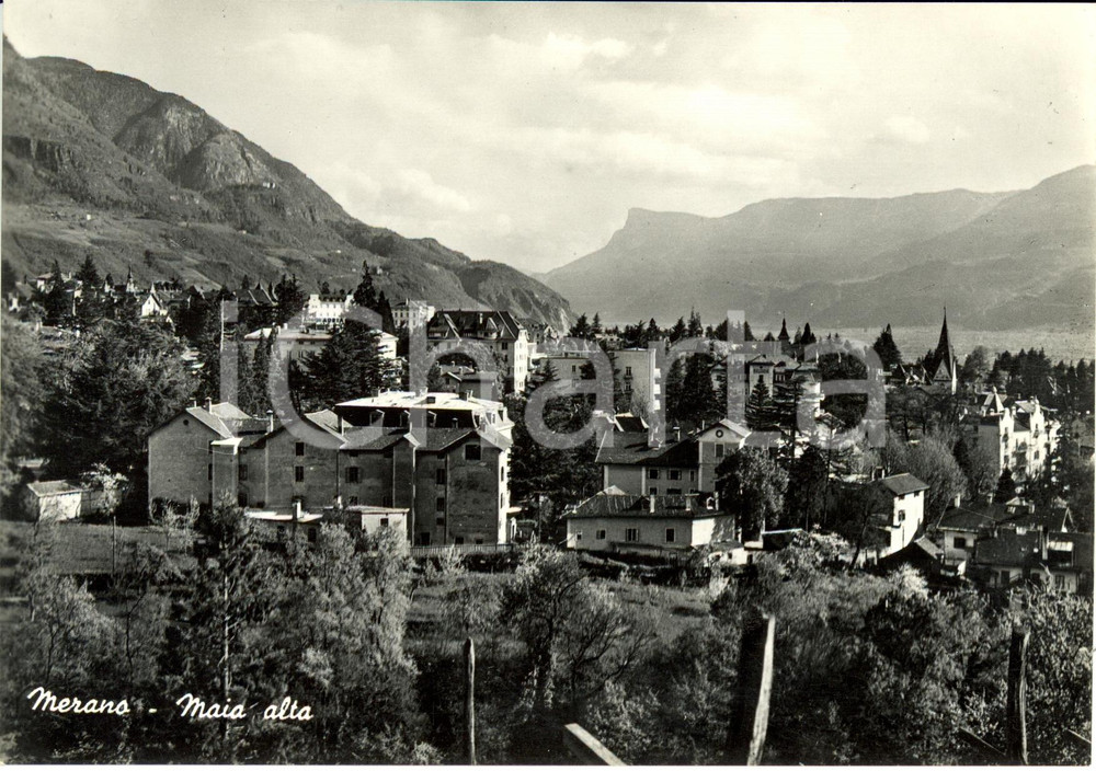Cartolina originale da collezione 1950 ca MERANO (BZ) Veduta panoramica di MAIA ALTA *Cartolina FG NV 1