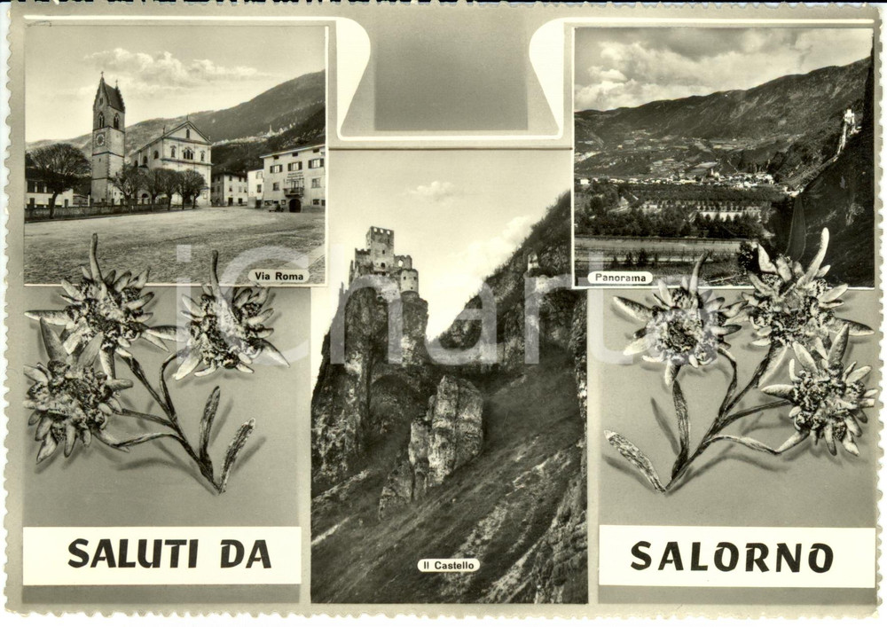 Cartolina originale da collezione 1950 ca SALORNO (BZ) Vedutine con via ROMA e castello *Cartolina FG NV 1